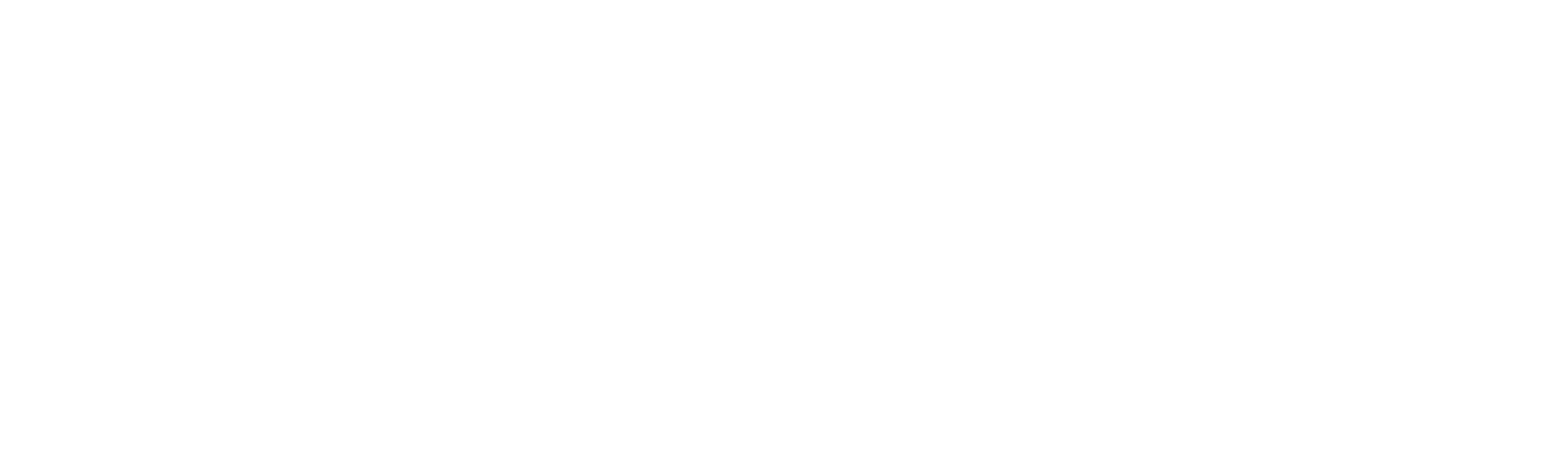 linlong-logo